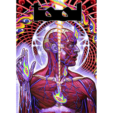 Плакат Tool (Lateralus) Изображение