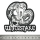 Нашивка термо Whitesnake 
