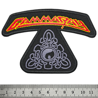Нашивка термо Gamma Ray (stp-105) Изображение