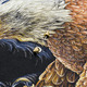Футболка Hunting Eagle (3D, світиться в темряві) Зображення