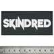 Нашивка ткана SKINDRED - LOGO (ofp-401) Изображение