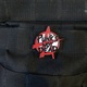 Пін Punk's Not Dead - Anarchy (pncn-037) Изображение