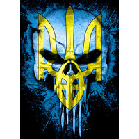 Плакат Череп (Punisher) із Тризубом (жовто-блакитний) Изображение
