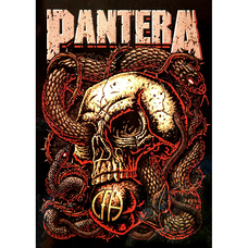 Плакат Pantera (Skull CFH) Зображення