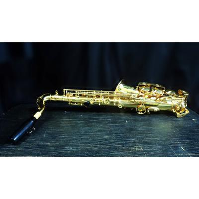 Саксофон-альт Roy Benson AS-201 (RB700590) Зображення