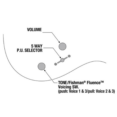 Електрогітара IBANEZ TOD70 Зображення