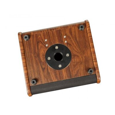 Комбо-усилитель для акустической гитары Richwood RAC-50 Изображение