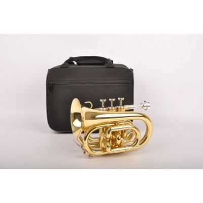 Карманная труба Birdland Pocket Trumpet BPT-23 Изображение