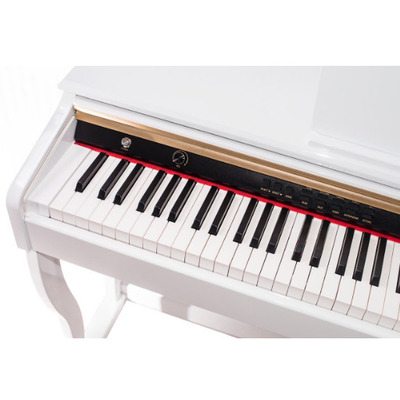 Цифровое пианино Alfabeto Concert (White) Изображение