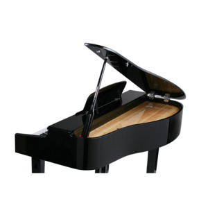 Цифровой рояль Kurzweil X-Pro MG EP Изображение