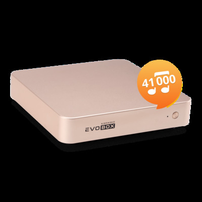 Караоке-система для дома EVOBOX Plus Gold Изображение