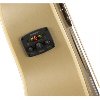 Электроакустическая гитара Fender Newporter Player Chp Изображение