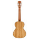 Укулеле Alvarez MU55T Изображение