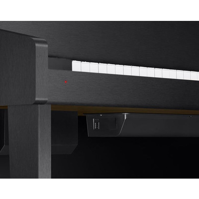 Цифрове піаніно Casio GP-310 BKC Зображення