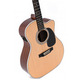 Електроакустична гітара Sigma JMC-1E + Зображення