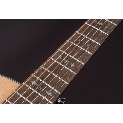 Акустическая гитара Washburn WP33SRS Изображение