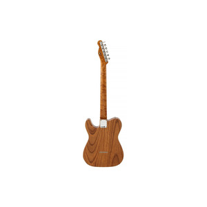 Електрогітара Fender Custom Shop Artisan Thinline Tele Ltd (9235000992) Зображення