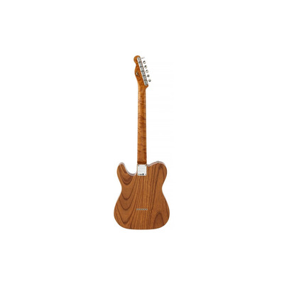 Електрогітара Fender Custom Shop Artisan Thinline Tele Ltd (9235000992) Зображення