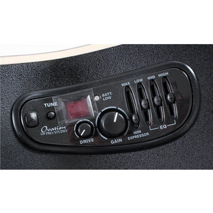 Электроакустическая гитара Ovation C2078AXP-RB ELITE Plus Deep Contour Cutaway Regal to Natural OV553519 Изображение