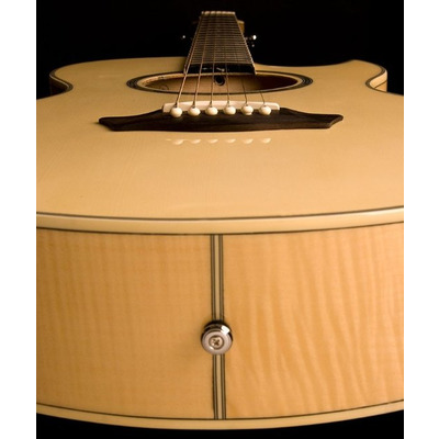 Електроакустична гітара Washburn EA20 TS Зображення