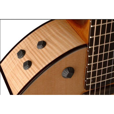 Электроакустическая гитара Parker P8 EN-BK Изображение