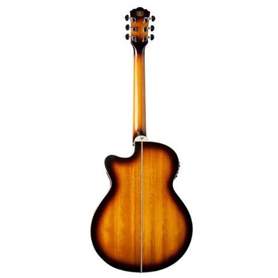 Електроакустична гітара Washburn EA15ATB Зображення