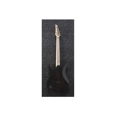 Электрогитара Ibanez RG1121PB CIF Изображение