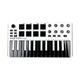 MIDI-контроллер Akai MPK MINI MK2 WHITE Изображение