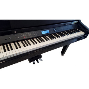 Цифровой рояль Medeli GRAND510 GB Изображение