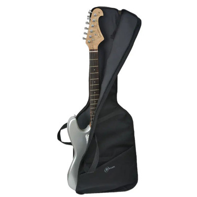 Чохол для електрогітари Renesans АЕГ-32 Зображення