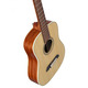 Акустична гітара Alvarez RT26 3/4 Зображення