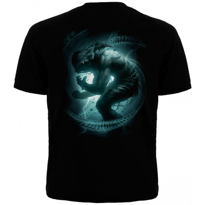 Футболка Disturbed "Evolution" Зображення