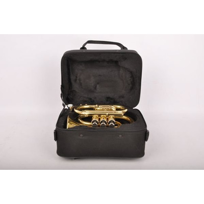 Карманная труба Birdland Pocket Trumpet BPT-23 Изображение