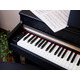 Цифровое пианино Alfabeto Concertino (Black) Изображение