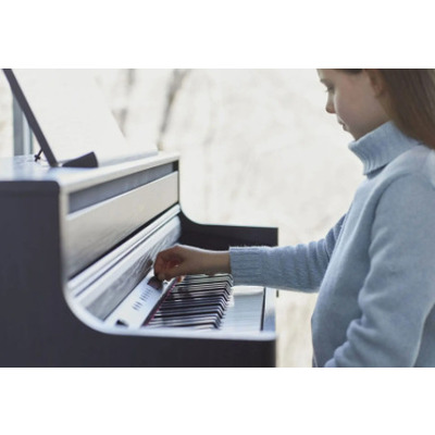 Цифровое пианино Roland HP704 PE черное полированое Изображение