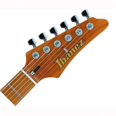 Электрогитара набор Ibanez AZ2204F TAB Изображение