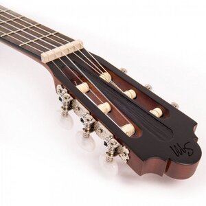 Классическая гитара Santos Martinez SM250CE Изображение