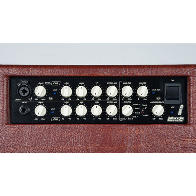 Комбоусилитель DV Mark AC 101 H Изображение