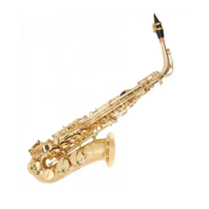 Альт саксофон Odyssey OAS130 Изображение