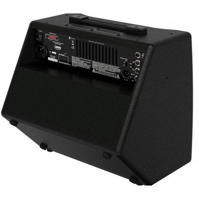 Гитарный комбо Laney A1+ Изображение