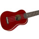Укулеле Fender Ukulele Venice Soprano Cherry Wn Изображение