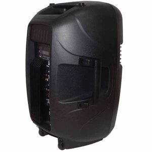 Акустична система 4all Audio LSA-15-USB Зображення