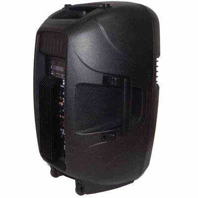 Акустическая система 4all audio LSA-15-USB Изображение