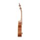 Укулеле тенор Prima M328T (Solid Spruce / Acacia) Изображение