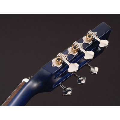 Акустическая гитара Washburn WP33SRS Изображение