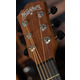 Акустическая гитара Washburn AGM5BMK Изображение