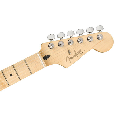 Електрогітара FENDER PLAYER DUO SONIC MN TLP Зображення