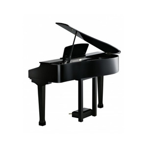 Цифровой рояль Kurzweil KAG-100 EP Изображение