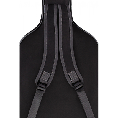 Класична гітара Alfabeto SAPELE CS39G + чохол Зображення