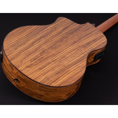 Електроакустична гітара Washburn VITE S9V Зображення